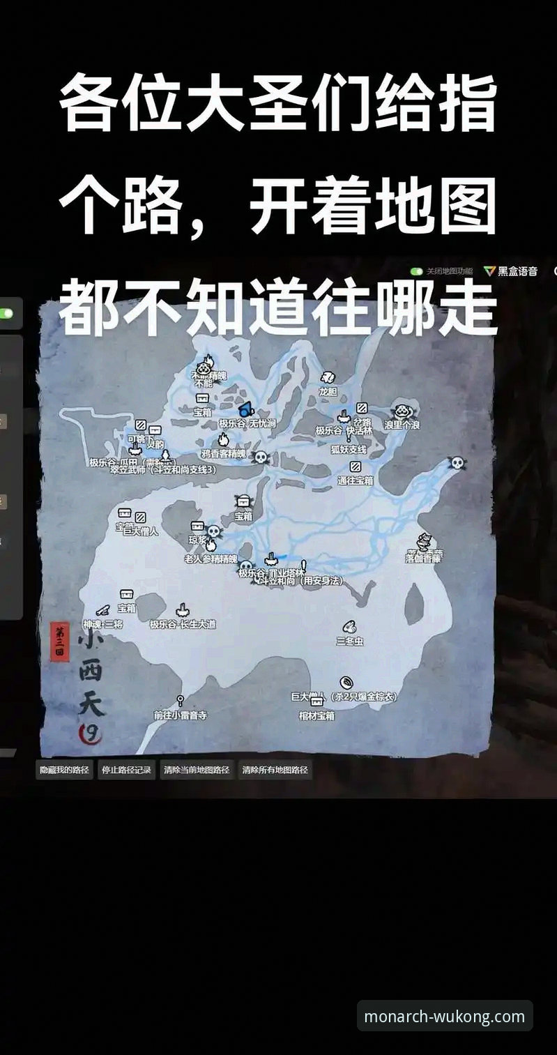 全球体育赛事观赛完整指南：悟空体育平台实战攻略